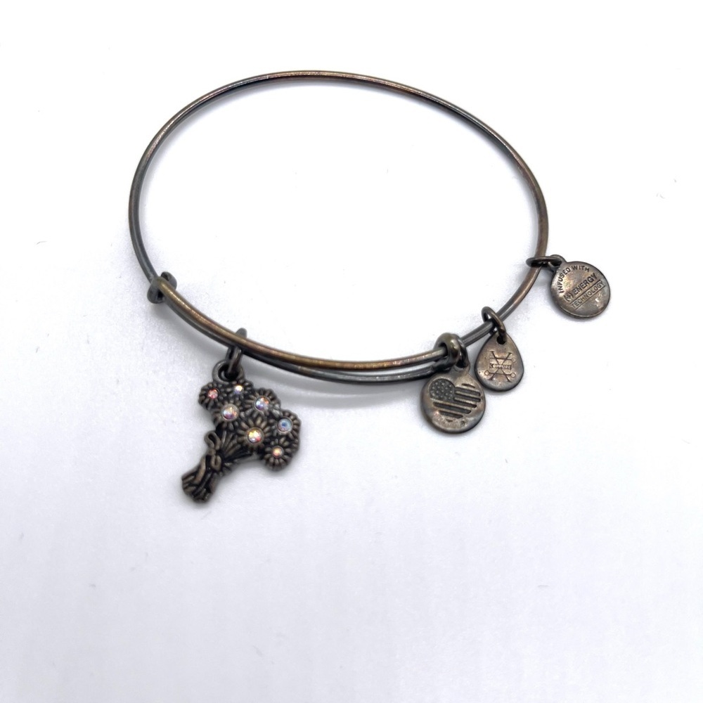 Alex and Ani Charm Bangle with Charms I pick you Rafaelian Charm